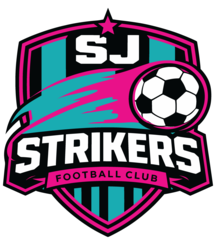 Stricker Soccer